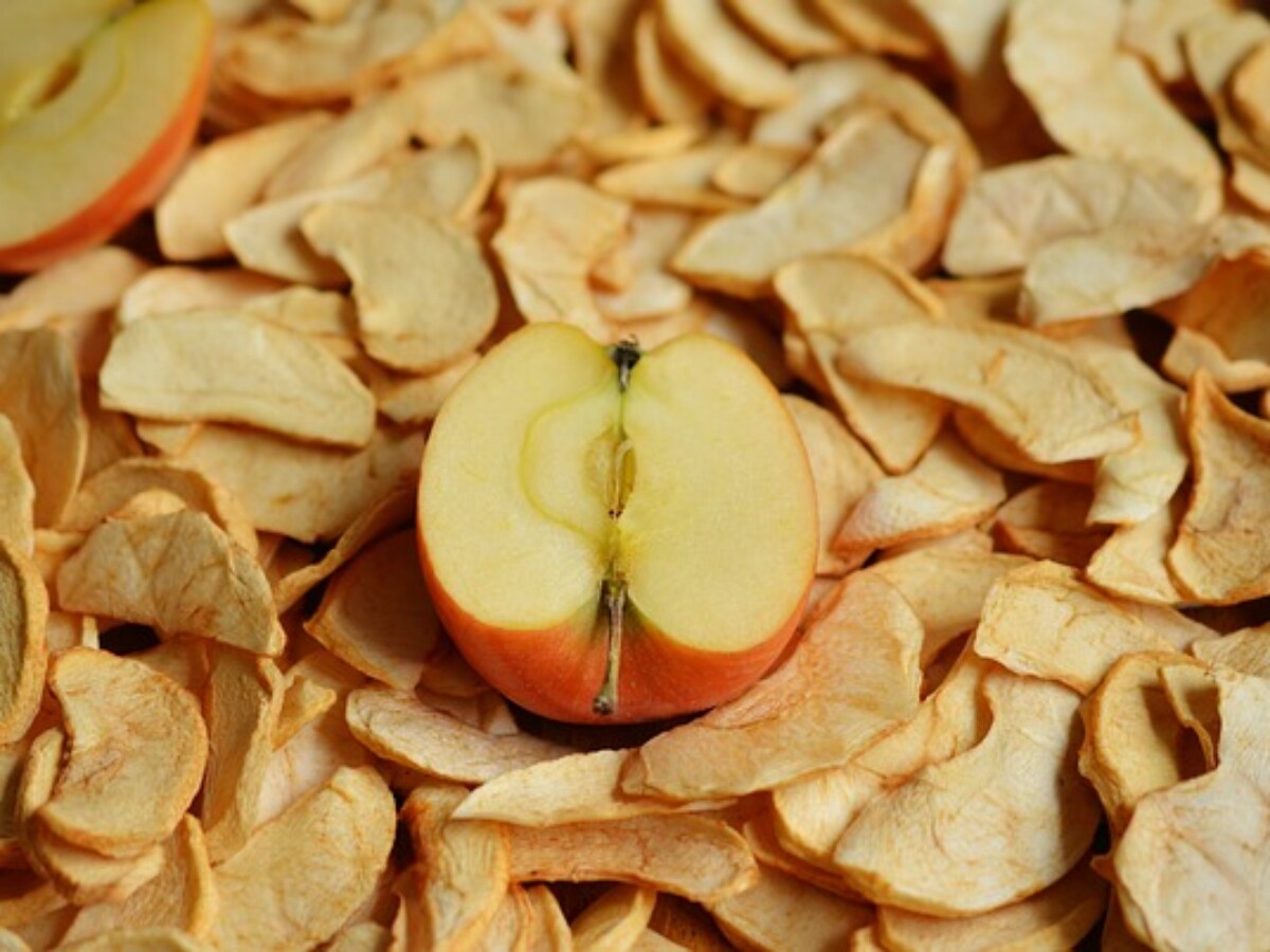 Fruta deshidratada – CONAMYPE Exportaciones