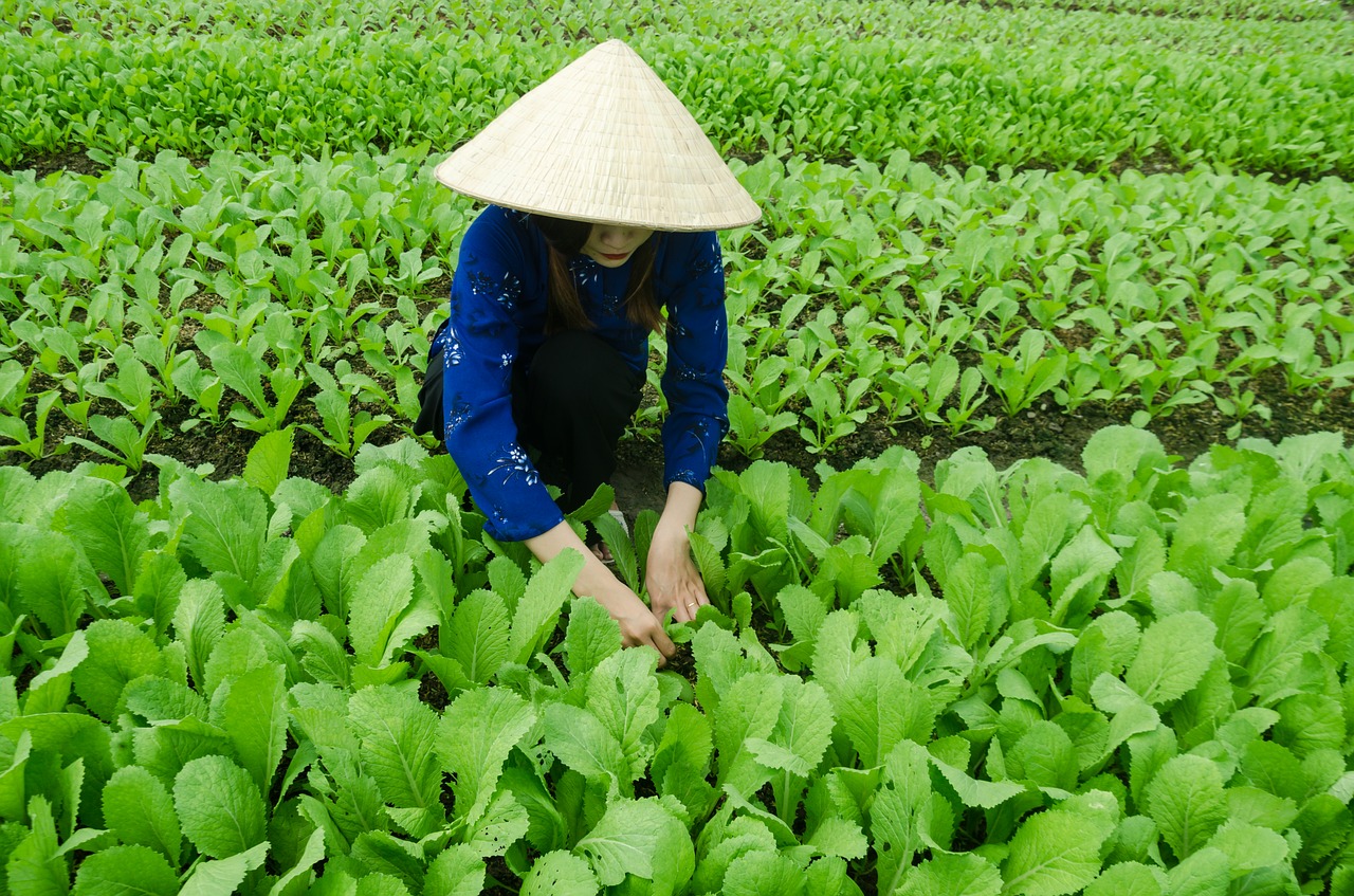Vietnam, un país con potencial para importadores